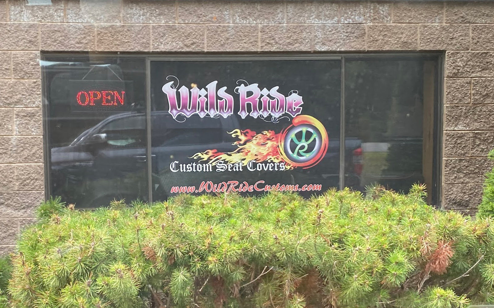 Gallery – Wild Ride Customs